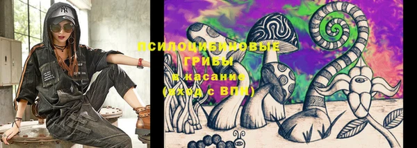 эйфоретик Верея
