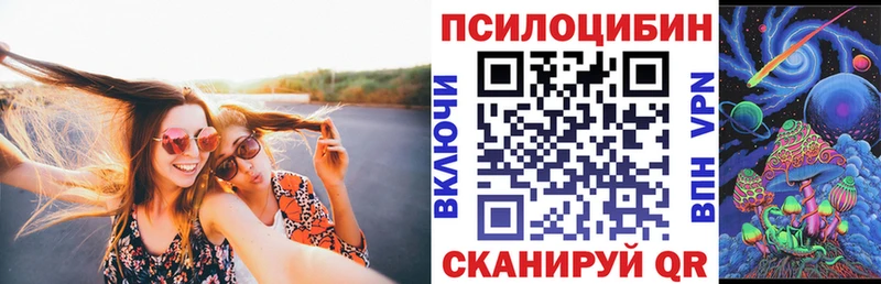 Псилоцибиновые грибы мухоморы купить закладку Мещовск
